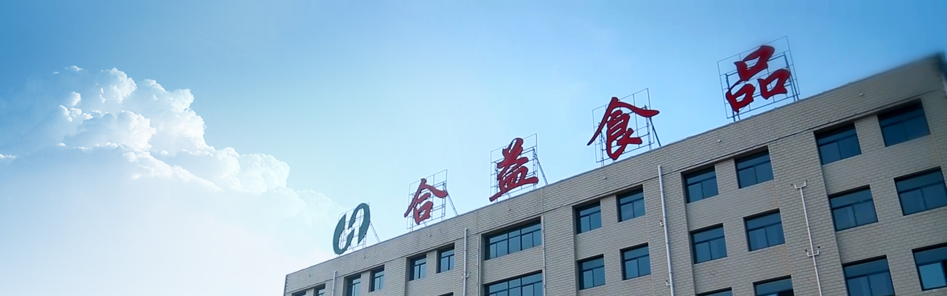 ��˾����